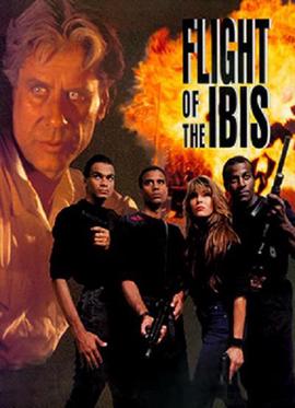 无敌雄鹰(原声版)